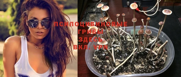 спайс Покров